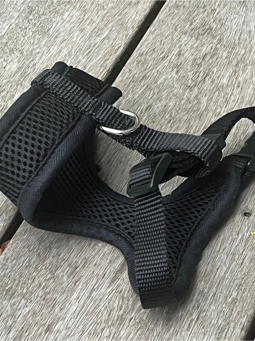 Adjustable Black Padded Dog Harness - Breathable Mesh Comfort
